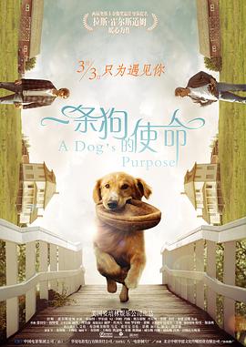 深夜在线视频