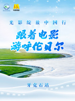 久久久毛片