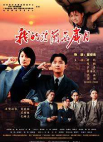 vmd驱动