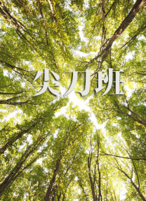 天空的诊所