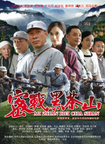 国产精品第一页在线观看