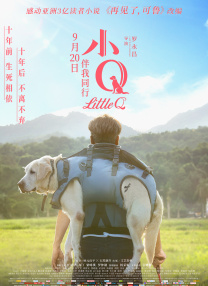 丁香六月五月婷婷