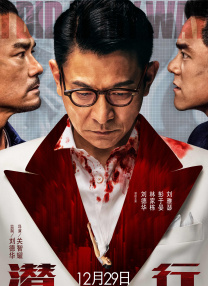 福利片视频区