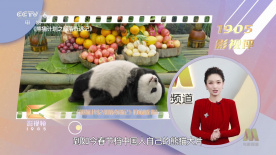 老钱的目的